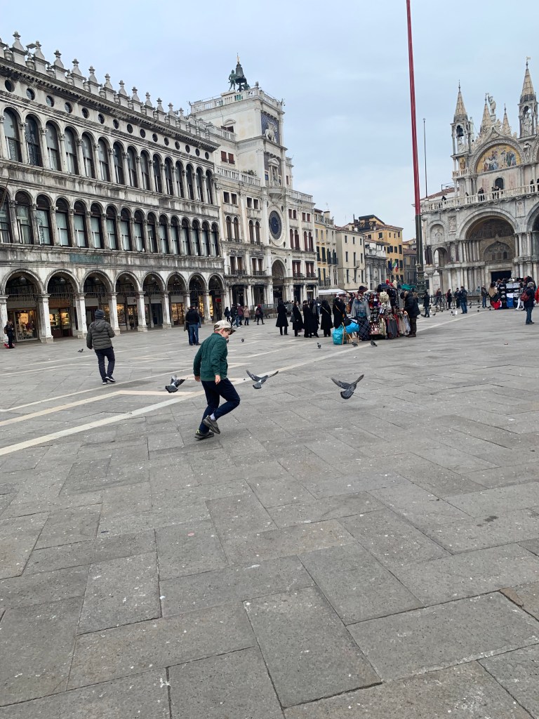 Chasing pigeons in St Mark's Square