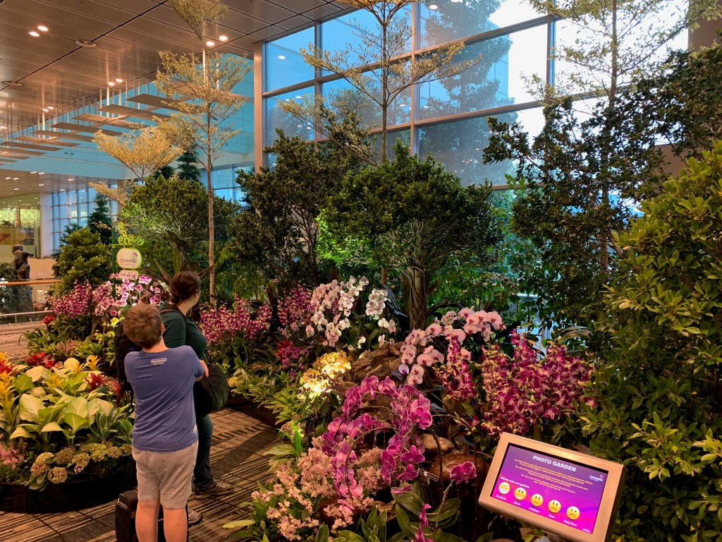Orchid + plant display at Singapore Changi airport