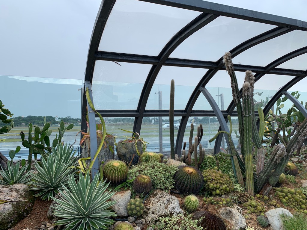 Cactus garden at Singapore Changi airport