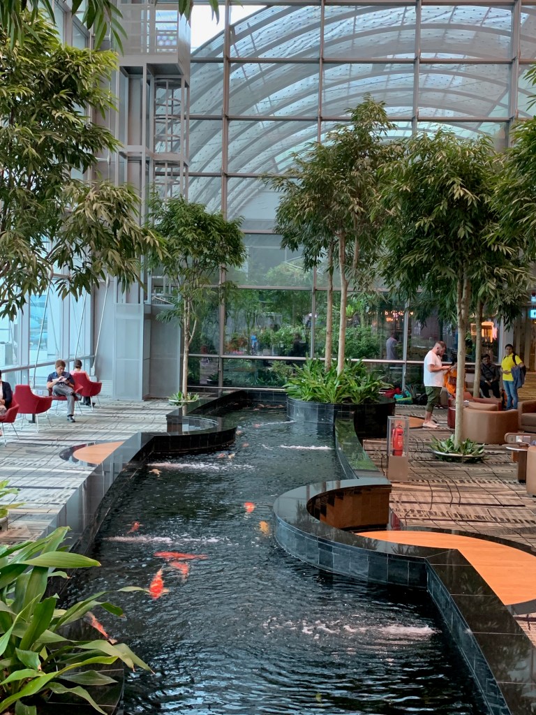 Koi pond inside Singapore Changi airport
