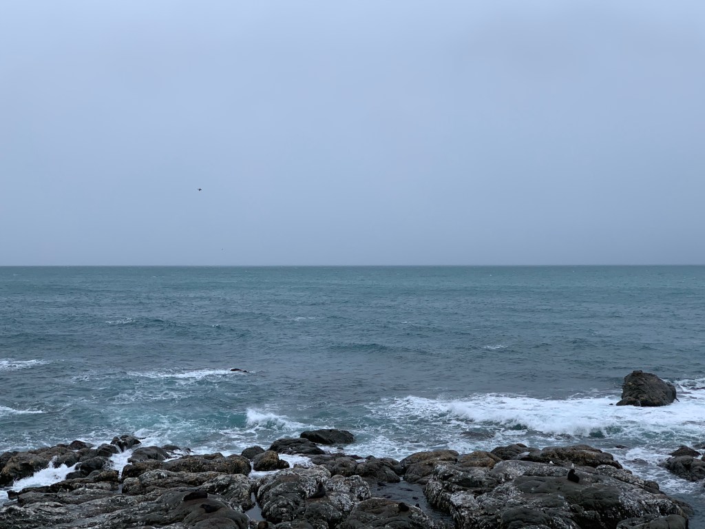 Coastline near Kaikoura on a bleak winter day