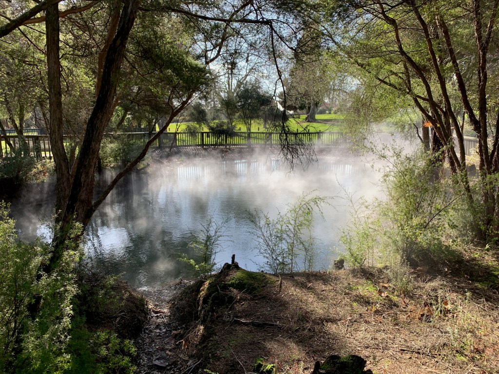 Thermal pool in Rotorua